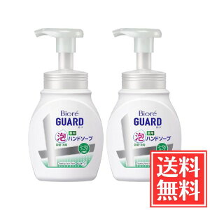 ԉ rIK[h pAnh\[v [Jn[u̍ |v { 250ml x 2 Zbg 