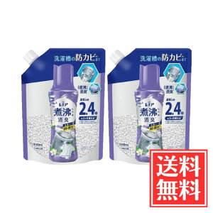 PG mA ϕxL Rۃr[Y L+hJr N[tbV l 1040ml x 2 Zbg 