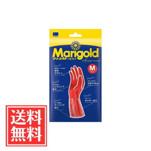 IJg }[S[h nslX S MTCY 1o Pi 