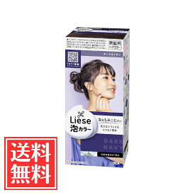 花王 リーゼ 泡カラー ダークネイビー 108ml 単品 送料無料