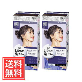 花王 リーゼ 泡カラー ダークネイビー 108ml x 2個 セット 送料無料