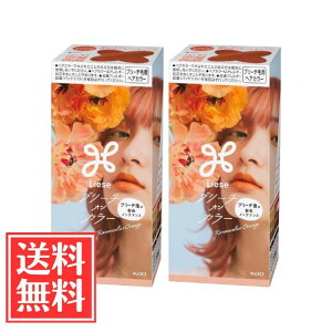 �ԉ� ���[�[ �u���[�`�I���J���[ ���i���L�����X�I�����W 108ml x 2�� �Z�b�g ��������