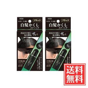 TO-PLAN �g�v���� ���������� �X�e�B�b�N �u���b�N 4g x 2�� �Z�b�g ��������