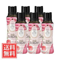 P＆G レノア オードリュクス 香り付け専用ビーズ マインドフルネス サンデー 本体 520ml x 6個 セット 送…
