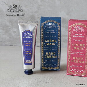 SenteuretBeaute T^[EGE{[et`NVbN@BOXnhN[[֔