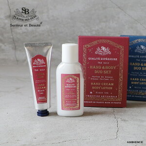 SenteuretBeaute T^[EGE{[enh{fBDUOZbg[֔ 蕨