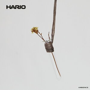 y11/15|Cg5{zHARIO nI ݂艺ԕr KXǃ[֔ t[x[X