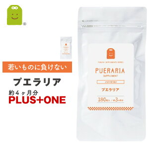 yԌzyʁz vGA ~tBJ Tvg 4 vGA~tBJ1100mgz ՂUNqGLX vGAE~tBJ vGAz j  