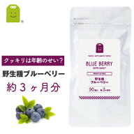 ワイルドブルーベリー ビルベリー ルテイン サプリメント 約3ヶ月分 アントシアニン豊富なワイルドビルベ…