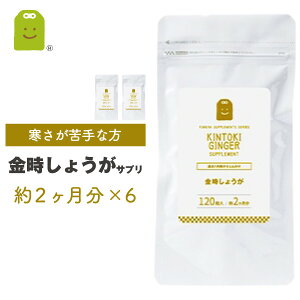  傤 Tvg  1N 120×6 1100mg̋Iz Tv _CGbg  ̉ቺ ₦΍ 傤o@qncoz WQ[ diet IT