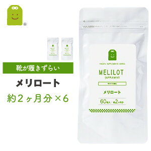 [g Tv [g Tvg ߂[ Zbg diet _CGbgTvg ؂肪ȏ̃X^CL[v 1N 60×12  11200mg Mtg 2025 yV y