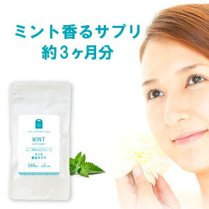 お徳用バーゲン ミント フレグランス サプリ 発酵性食物繊維 イヌリン 約3ヶ月分 プレバイオティクス 痩せ菌 ダイエット サプリメント 口臭 ペパーミント フレーバー mint supplement その他/ロ