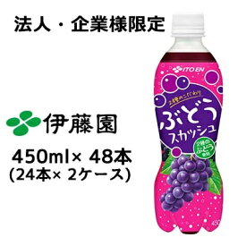 【法人・企業様限定販売】 伊藤園 ぶどう スカッシュ PET 450ml ×48 本 (24本 × 2ケース) 送料無料 43181