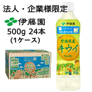 y@lEƌ̔zɓ jb|G[ QY LEC 500g PET 24{ (1P[X) {̎  43793