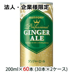 y@lEƗl̔z[] Tg[ WW[G[ ( GINGER ALE ) 200ml  Ɩp 60{ ( 30{×2P[X )  48588