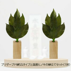 y|Cg3{ Ԍzyllw\zsv ͂Ȃ  vU[uh  SS^Cv YqmL 嗧 Zbg (1) AK [ST-001]  75661