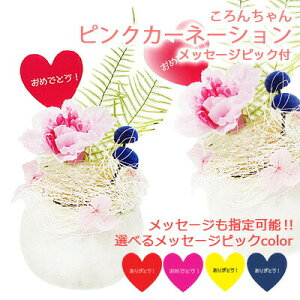 y3%OFF Ԍzyllw\z xJbv AW 񂿂 sN J[l[V bZ[W sbNt [ BC-004S ] AK uU[uht[  75734