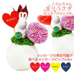 yllw\z xJbv AW 񂿂 ܂肤 bZ[W sbNt [ BC-005M ] AK uU[uht[  75745