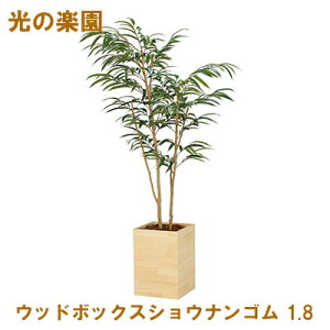 yllw\z̊y (2300A580-15) Ebh{bNXVEiS 1.8  95061