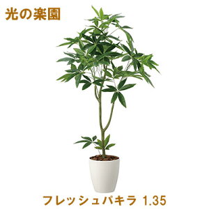 yllw\z̊y (2321A295-31) tbVpL 1.35  95075