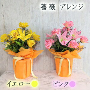 yllw\z KN AW CG[/sN (kg-23)  lH ϗtA tFCNO[  94274