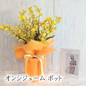 yllw\z IVW[ |bg AWt[ (kg-7)  lH ϗtA tFCNO[  94276