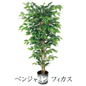 �y�|�C���g3�{ 4/4 20������z �y�l�l�w���\�z�� �x���W���~�� �t�B�J�X 1.5m (glp-1300) ���� �l�H �ϗt�A�� �t�F�C�N�O���[�� �������� 94280