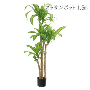�y�|�C���g3�{ 4/4 20������z �y�l�l�w���\�z�� �}�b�T���|�b�g 1.5m (glp-1543p) ���� �l�H �ϗt�A�� �t�F�C�N�O���[�� �������� 94282