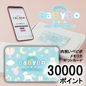 y|Cg3{ Ԍzyllw\zJ^OMtg j xr{ J 30000|Cg (PB30000) MemoriCA JJ[h  36375