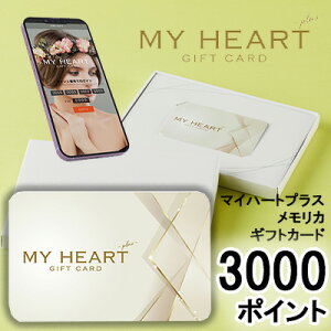 yllw\zJ^OMtg }Cn[gvX q J 3000|Cg (PM3000) MemoriCA JJ[h  36384