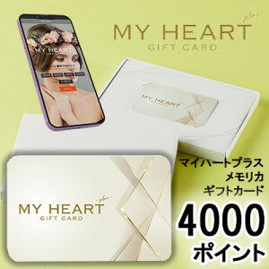 yllw\zJ^OMtg }Cn[gvX oC J 4000|Cg (PM4000) MemoriCA JJ[h  36386