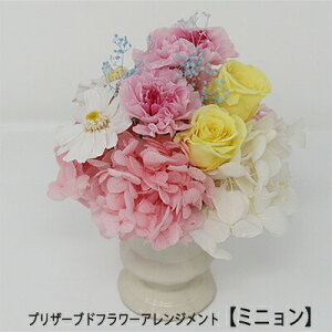 y|Cg3{ Ԍzyllw\zvU[uht[AWgy~jz [MF-10] AK ̓  75626