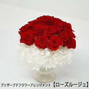 yllw\zvU[uht[AWgy[Y[Wz [MF-13] AK ̓  75628