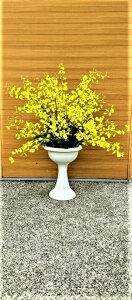 yllw\z IVW[AW G}Hi [ kp-5 ]  98121