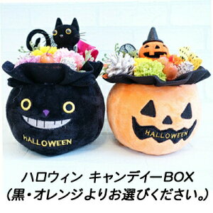 yllw\znEC LfC[BOX (2F肨IщB) [hwma006]  73917