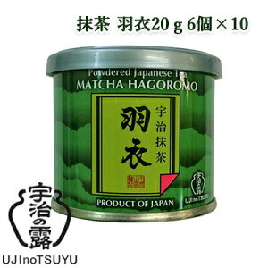 y3%OFF Ԍzyllw\z [] F̘I  H 20g 6×10(60)(1P[X)  78054