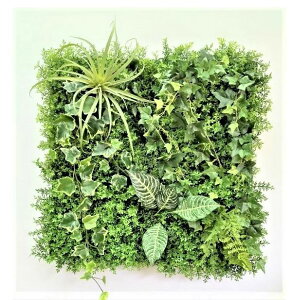 yllw\z O[pl 60cm×60cm [ gh-561 ]  98105