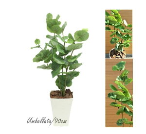 yllw\z Ex[^ 90cm ԊZbg o[Ot [ rky-1 ]  98106