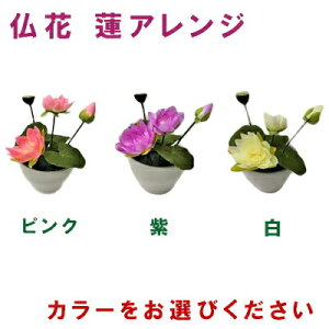 y|Cg3{ Ԍzyllw\z  @AW [ tsk-11 ] 3肨Iт  98109