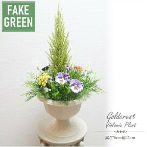 yllw\z 񂹐AAWg S[hNXg [ wfg-115 ]  98111