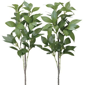 yllw\z  VL~2{Zbg [ 100e30-97 ]  98114