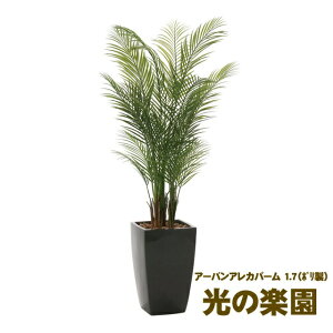 �y�l�l�w���\�z�����̊y�� (945K700-24) �A�[�o���A���J�p�[�� 1.7 �������� 93687