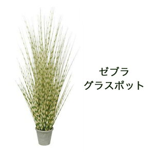 �y�|�C���g3�{ 2/4 20���`�z�y�l�l�w���\�z���[�u���O���X�|�b�g �m gla-1396 �n �������� 93824