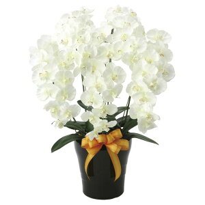 yllw\z̊y (651K200-78) v~AӒ5{W  92629