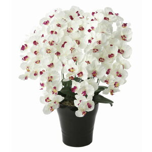 yllw\z̊y (657A250-77) v~AӒ7{W/AB  92637