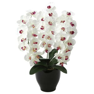 yllw\z̊y (661K135-78) v~AӒW/AB  92645