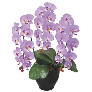 yllw\z̊y (21K120-79) ӒZ[XL  92647