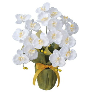 y|Cg3{ Ԍzyllw\z̊y (25K40-80) ~fBӒW  92657