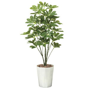 yV X[p[SALE 10%OFF yllw\z̊y (514A150-56) VFt90  92449