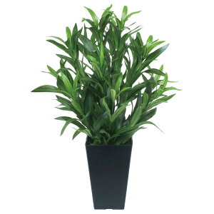 yllw\z̊y (518A70-62) XpC_[  92519